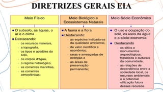 DIRETRIZES GERAIS EIA
 