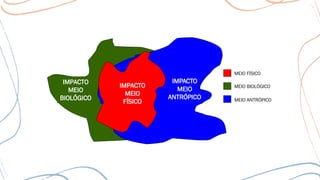 MEIO FÍSICO
MEIO BIOLÓGICO
MEIO ANTRÓPICO
 