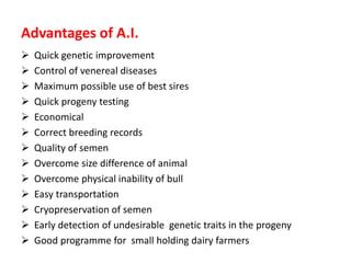 Advantages of A.I.
 Quick genetic improvement
 Control of venereal diseases
 Maximum possible use of best sires
 Quick progeny testing
 Economical
 Correct breeding records
 Quality of semen
 Overcome size difference of animal
 Overcome physical inability of bull
 Easy transportation
 Cryopreservation of semen
 Early detection of undesirable genetic traits in the progeny
 Good programme for small holding dairy farmers
 