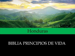 Honduras
BIBLIA PRINCIPIOS DE VIDA
 