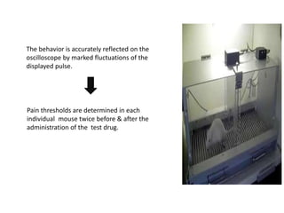 The behavior is accurately reflected on the
oscilloscope by marked fluctuations of the
displayed pulse.
Pain thresholds are determined in each
individual mouse twice before & after the
administration of the test drug.
 