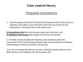 1. Authors proposed that both thin (pain) and large diameter (touch, pressure,
vibration) nerve fibers carry information from the site of injury to two
destinations in the dorsal horn of the spinal cord:
1) transmission cells that carry the pain signal up to the brain, and
2) inhibitory interneurons that impede transmission cell activity.
2. Thin fiber activity impedes the inhibitory cells (tending to allow the
transmission cell to fire) and large diameter fiber activity excites the inhibitory
cells (tending to inhibit transmission cell activity).
3. So, the more large fiber (touch, pressure, vibration) activity relative to thin
fiber activity at the inhibitory cell, the less pain is felt
Gate control theory
Proposed mechanisms
 