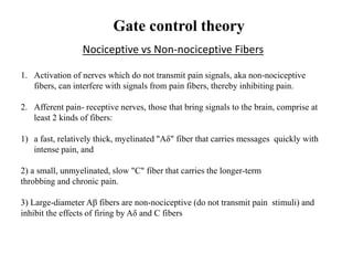 Gate control theory
1. Activation of nerves which do not transmit pain signals, aka non-nociceptive
fibers, can interfere with signals from pain fibers, thereby inhibiting pain.
2. Afferent pain- receptive nerves, those that bring signals to the brain, comprise at
least 2 kinds of fibers:
1) a fast, relatively thick, myelinated "Aδ" fiber that carries messages quickly with
intense pain, and
2) a small, unmyelinated, slow "C" fiber that carries the longer-term
throbbing and chronic pain.
3) Large-diameter Aβ fibers are non-nociceptive (do not transmit pain stimuli) and
inhibit the effects of firing by Aδ and C fibers
Nociceptive vs Non-nociceptive Fibers
 