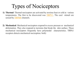 Types of Nociceptors
1) Thermal: Thermal nociceptors are activated by noxious heat or cold at various
temperatures. The first to be discovered was TRPV1. The cool stimuli are
sensed by TRPM8 channels.
2) Mechanical: Mechanical nociceptors respond to excess pressure or mechanical
deformation. They also respond to incisions that break the skin surface. These
mechanical nociceptors frequently have polymodal characteristics. TRPA1
receptors detects mechanical nociception. both)
 