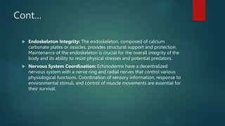 Cont…
 Endoskeleton Integrity: The endoskeleton, composed of calcium
carbonate plates or ossicles, provides structural support and protection.
Maintenance of the endoskeleton is crucial for the overall integrity of the
body and its ability to resist physical stresses and potential predators.
 Nervous System Coordination: Echinoderms have a decentralized
nervous system with a nerve ring and radial nerves that control various
physiological functions. Coordination of sensory information, response to
environmental stimuli, and control of muscle movements are essential for
their survival.
 