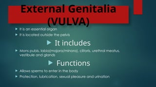 External Genitalia
(VULVA)
 It is an essential organ
 It is located outside the pelvis
 It includes
 Mons pubis, labia(majora/minora), clitoris, urethral meatus,
vestibule and glands
 Functions
 Allows sperms to enter in the body
 Protection, lubrication, sexual pleasure and urination
 