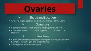 Ovaries
 ShapeandLocation
 Two oval shaped glands situated on either side of the uterus
 Structure
 It contains follicles which are sacs holding immature ova
 It has three layers 1. Outer capsule 2. Cortex 3.
Medulla
 Function
 It is the primary female reproductive organs it produce ova and
hormones like estrogen and progesterone
 Also regulate menstruation cycle
 