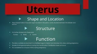 Uterus
 Shape and Location
 Pear shaped hollow muscular organ located in the pelvic cavity situated between the bllader and
rectum
 Structure
 It is further divided into three parts
1. Fundus 2. Body 3. Cervix
 Function
 Provide a suitable environment to a fertilized egg to implant and develop into uterus during pregnancy
 Shades its lining(endometrium) during the menstruation if fertilization does not occur
 It is considered as a house of fetus during pregnancy
 