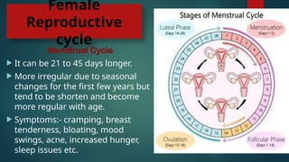 Female
Reproductive
cycle
Menstrual Cycle
 It can be 21 to 45 days longer.
 More irregular due to seasonal
changes for the first few years but
tend to be shorten and become
more regular with age.
 Symptoms:- cramping, breast
tenderness, bloating, mood
swings, acne, increased hunger,
sleep issues etc.
 