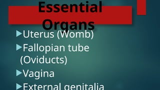 Essential
Organs
Uterus (Womb)
Fallopian tube
(Oviducts)
Vagina

 