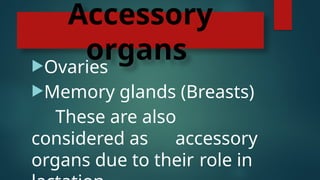 Accessory
organs
Ovaries
Memory glands (Breasts)
These are also
considered as accessory
organs due to their role in
 