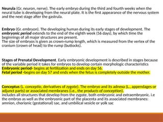 Conceptus Structures DEFINITION OF TERMS---------------------------------- | PPTX