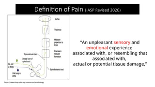 A. 2026 LECTURE BASIC SCIENCE OF PAIN .pptx