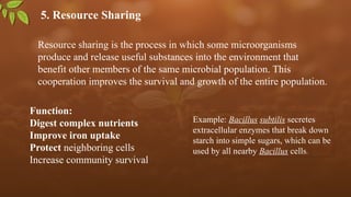 5. Resource Sharing
Resource sharing is the process in which some microorganisms
produce and release useful substances into the environment that
benefit other members of the same microbial population. This
cooperation improves the survival and growth of the entire population.
Function:
Digest complex nutrients
Improve iron uptake
Protect neighboring cells
Increase community survival
Example: Bacillus subtilis secretes
extracellular enzymes that break down
starch into simple sugars, which can be
used by all nearby Bacillus cells.
 