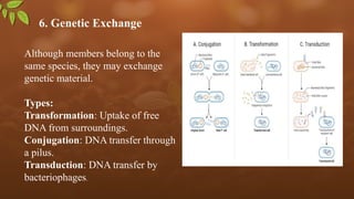 6. Genetic Exchange
Although members belong to the
same species, they may exchange
genetic material.
Types:
Transformation: Uptake of free
DNA from surroundings.
Conjugation: DNA transfer through
a pilus.
Transduction: DNA transfer by
bacteriophages.
 