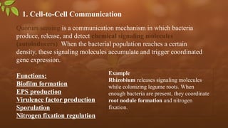 1. Cell-to-Cell Communication
Quorum sensing is a communication mechanism in which bacteria
produce, release, and detect chemical signaling molecules
(autoinducers). When the bacterial population reaches a certain
density, these signaling molecules accumulate and trigger coordinated
gene expression.
Functions:
Biofilm formation
EPS production
Virulence factor production
Sporulation
Nitrogen fixation regulation
Example
Rhizobium releases signaling molecules
while colonizing legume roots. When
enough bacteria are present, they coordinate
root nodule formation and nitrogen
fixation.
 
