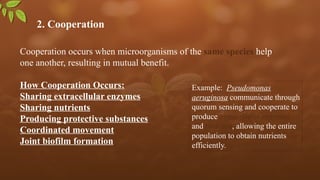 2. Cooperation
Cooperation occurs when microorganisms of the same species help
one another, resulting in mutual benefit.
How Cooperation Occurs:
Sharing extracellular enzymes
Sharing nutrients
Producing protective substances
Coordinated movement
Joint biofilm formation
Example: Pseudomonas
aeruginosa communicate through
quorum sensing and cooperate to
produce extracellular enzymes
and biofilms, allowing the entire
population to obtain nutrients
efficiently.
 