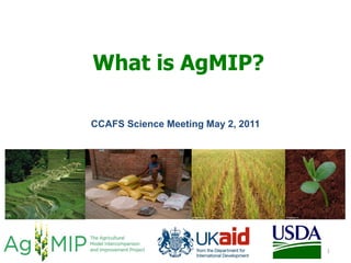 What is AgMIP?

CCAFS Science Meeting May 2, 2011




                                    1
 