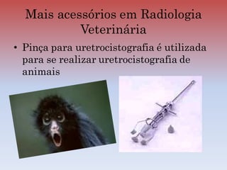 • Pinça para uretrocistografia é utilizada
para se realizar uretrocistografia de
animais
Mais acessórios em Radiologia
Veterinária
 