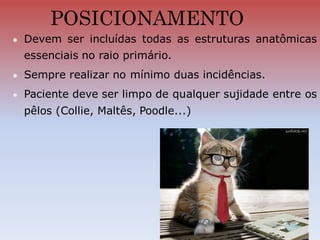 POSICIONAMENTO
 Devem ser incluídas todas as estruturas anatômicas
essenciais no raio primário.
 Sempre realizar no mínimo duas incidências.
 Paciente deve ser limpo de qualquer sujidade entre os
pêlos (Collie, Maltês, Poodle...)
 