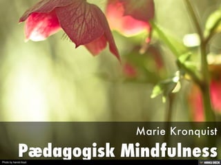 Pædagogisk Mindfulness  Marie Kronquist 