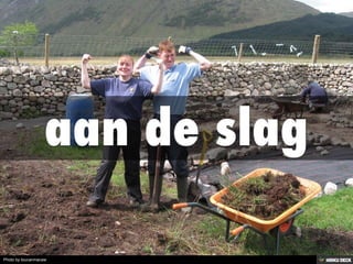 Photo by toucanmacaw
 