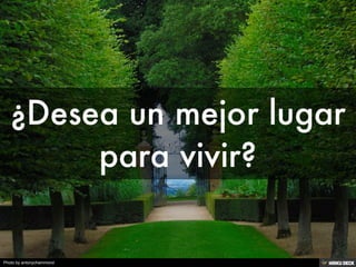 Photo by antonychammond
 