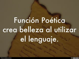 Photo by barbara carneiro
 