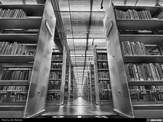 Photo by John Westrock