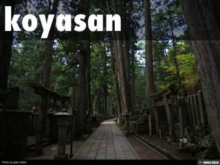 Photo by peter-rabbit
 