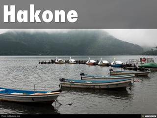 Photo by Mustang Joe
 