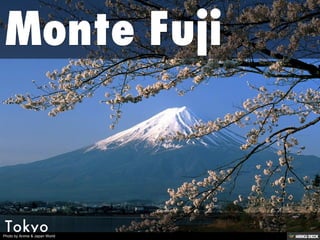 Photo by Anime & Japan World
 