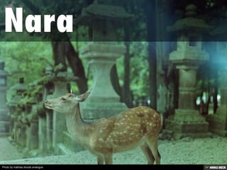 Photo by mathias shoots analogue
 