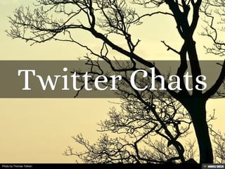 Photo by Thomas Tolkien
 