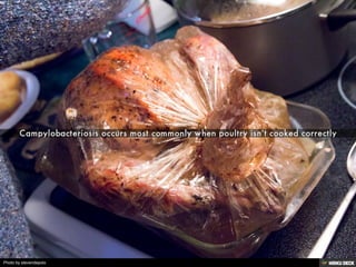 Photo by stevendepolo
 