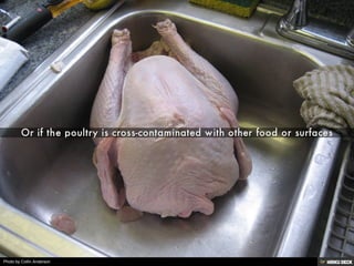 Photo by Collin Anderson
 