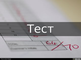 Photo by Adam Mulligan
 