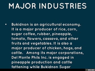 REGION X- Northern Mindanao