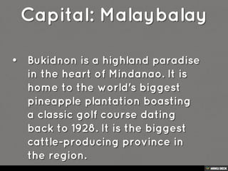 REGION X- Northern Mindanao