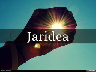 Jaridea 