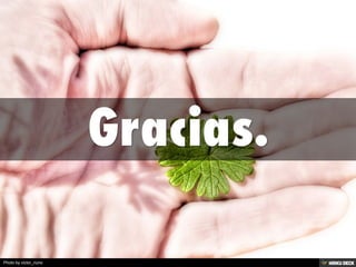 Photo by victor_nuno
 