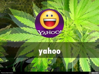 Photo by Heart Industry
 