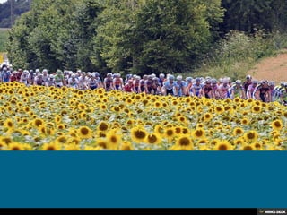 Le Tour de France 