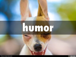 Photo by Charlie Stinchcomb