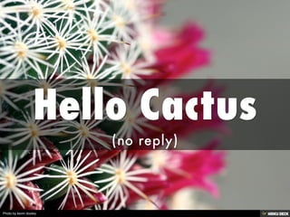 Photo by kevin dooley