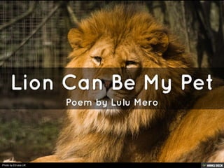 Lion Can Be My Pet  Poem by Lulu Mero 