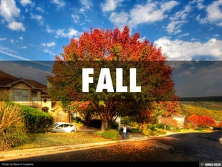 Photo by Stuck in Customs
 