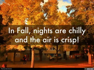 Photo by Nick Kenrick.
 