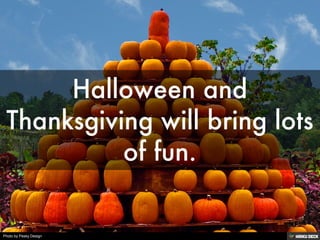 Photo by Pesky Design
 