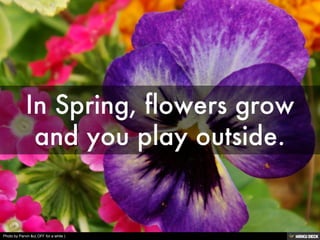 Photo by Parvin &c( OFF for a while )
 